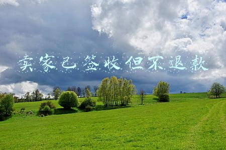卖家已签收但不退款