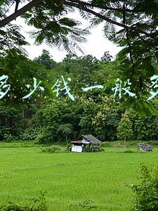 到底多少钱一般多少钱