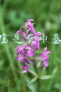 余额宝是货币基金吗