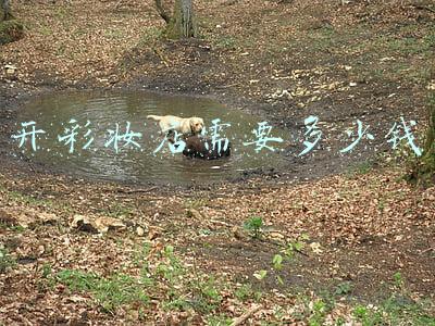 开彩妆店需要多少钱