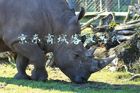 京东商城客服热线