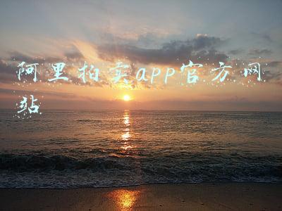 阿里拍卖app官方网站