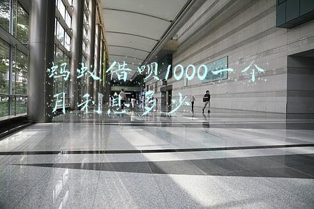 蚂蚁借呗1000一个月利息多少