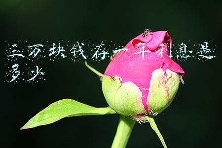 三万块钱存一年利息是多少