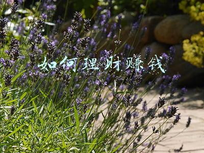 如何理财赚钱