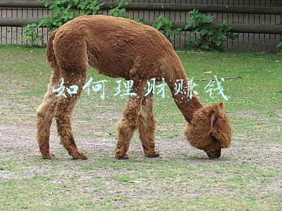 如何理财赚钱