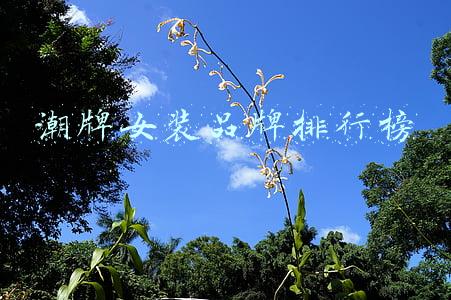 潮牌女装品牌排行榜