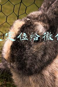 怎么发定位给微信好友