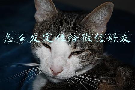 怎么发定位给微信好友北京大学(保护好中华民族精神生生不息的根脉)