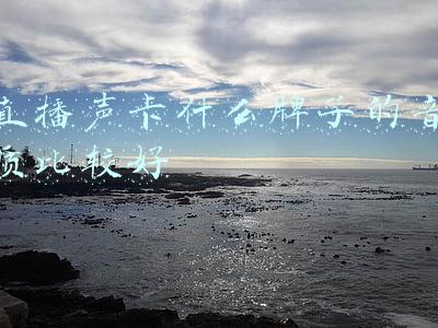 直播声卡什么牌子的音质比较好