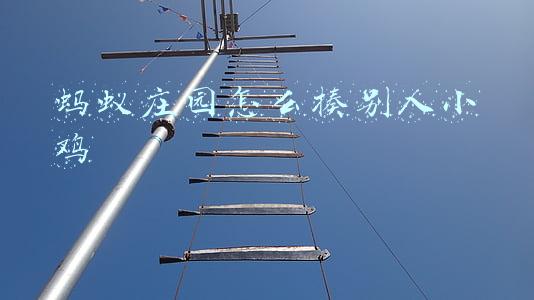 蚂蚁庄园怎么揍别人小鸡