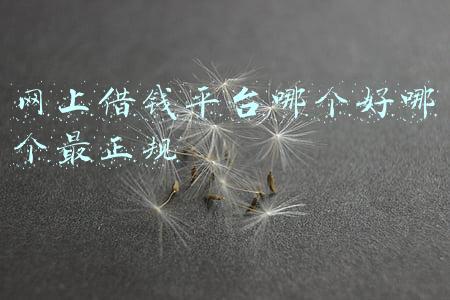 网上借钱平台哪个好哪个最正规