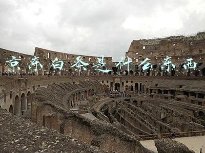 京东白条是什么东西