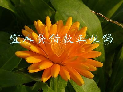 宜人贷借款正规吗