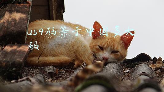 us9码等于中国多大码