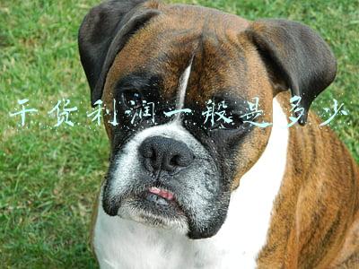 干货利润一般是多少
