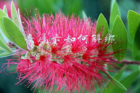 亲属卡如何解绑