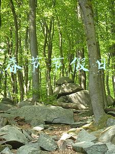 春节节假日