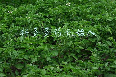 拼多多的创始人