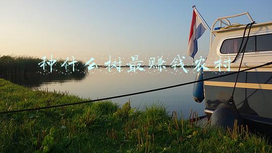 种什么树最赚钱农村