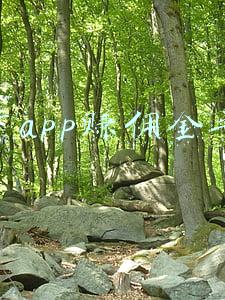 推广app赚佣金平台