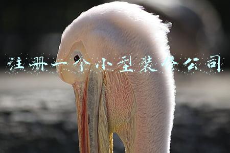 注册一个小型装修公司