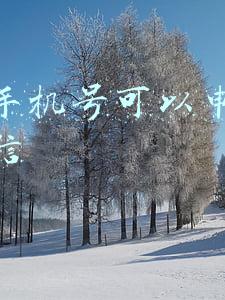 一个手机号可以申请几个微信