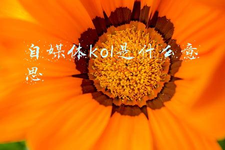 自媒体kol是什么意思