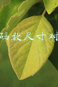 衣服码数尺寸对照表