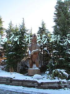 如何开场聊天