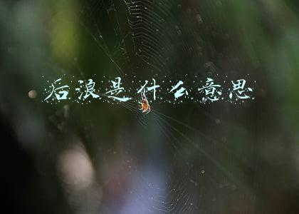 后浪是什么意思