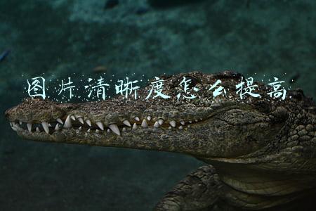 图片清晰度怎么提高