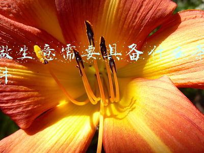 做生意需要具备什么条件