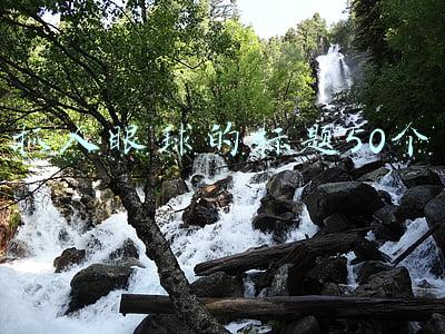 抓人眼球的标题50个