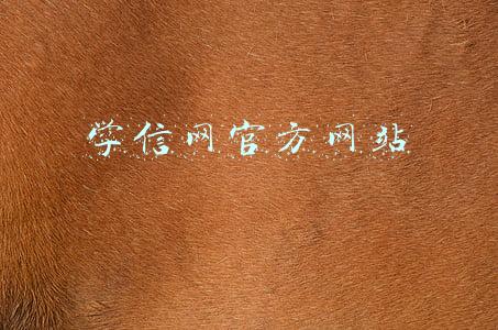 学信网官方网站
