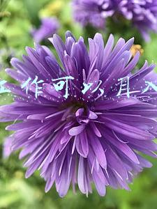 什么工作可以月入过万