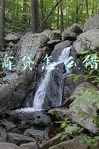 网商贷怎么借钱