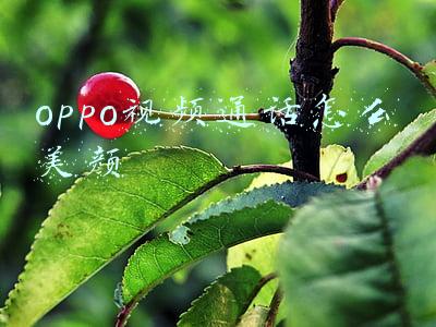 oppo视频通话怎么美颜