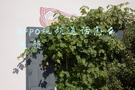 oppo视频通话怎么美颜
