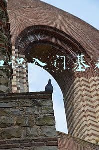 基金知识入门基础知识
