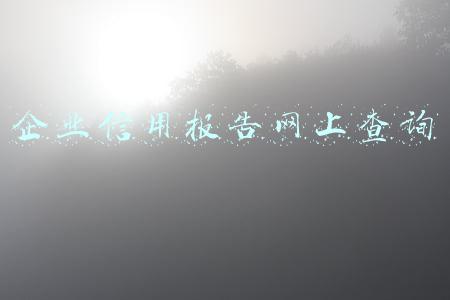 企业信用报告网上查询