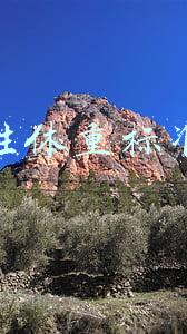 女性体重标准表