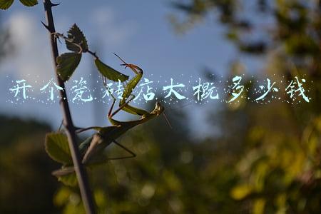 我想开一家卖瓷砖地板砖的店,大概要多少本钱啊?(开个瓷砖店要多少钱)