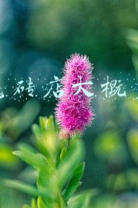 瓷砖开店需要投资多少钱合适;刚开始做瓷砖生意投资多少比较合适