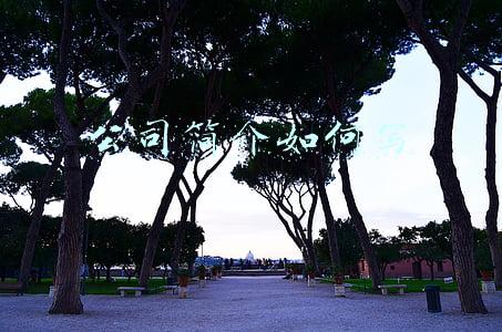 公司简介如何写