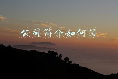 公司简介如何写