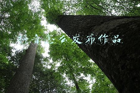 抖音怎么发布作品