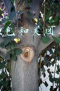 兼职蜂鸟众包和美团众包哪个好(关于美团众包和蜂鸟众包双平台同时跑单)