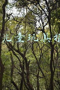 7岁儿童玩具推荐