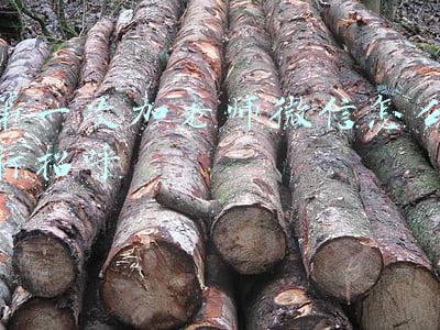 第一次加老师微信怎么打招呼